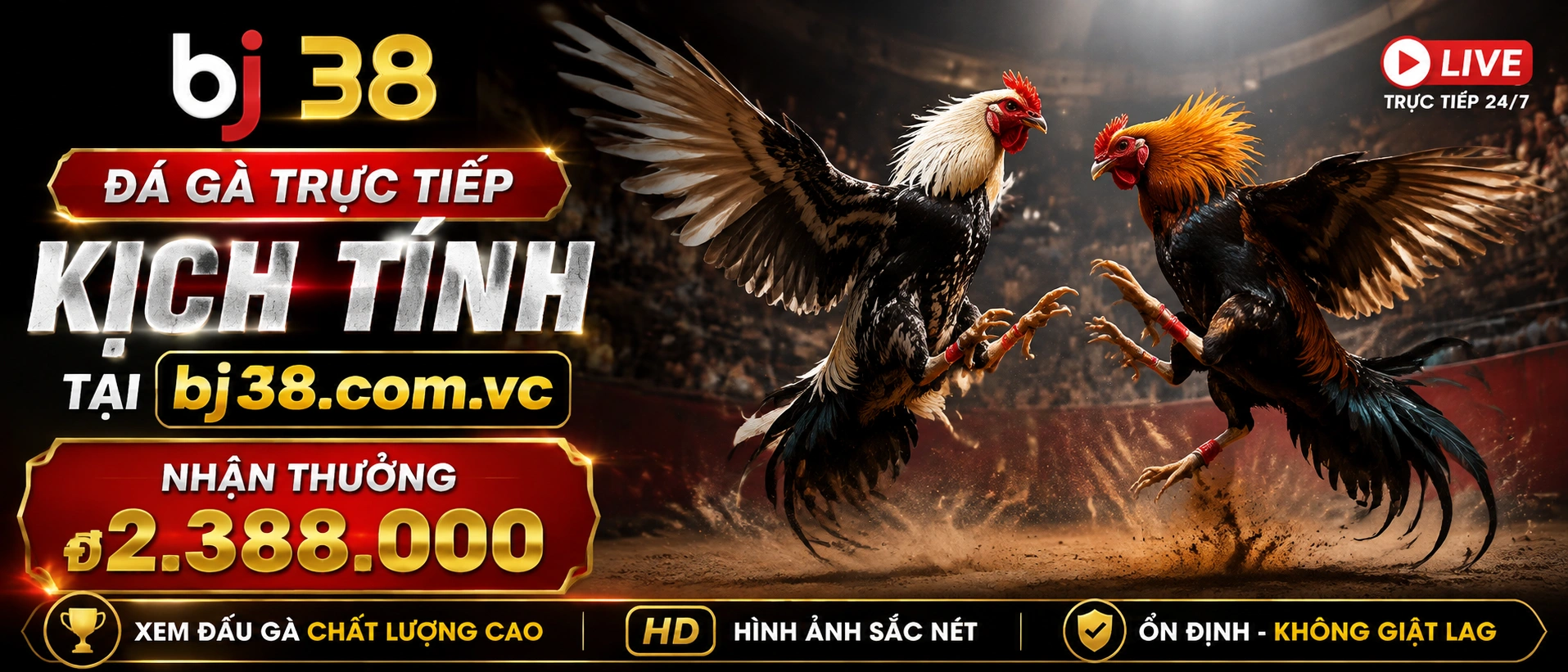 Đá Gà BJ38 giao diện live và danh mục